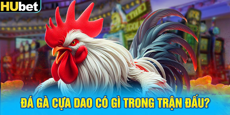 Đá gà cựa dao có gì trong trận đấu?