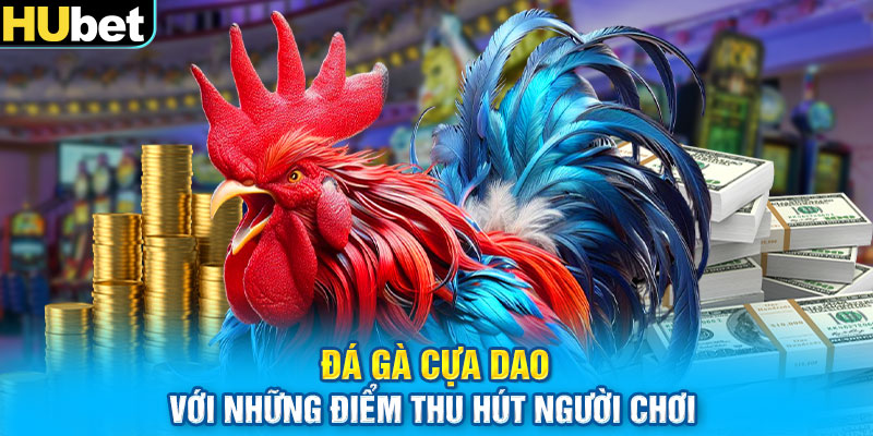 Đá gà cựa dao với những điểm thu hút người chơi