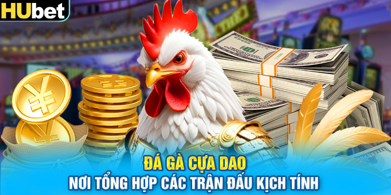 Đá Gà Cựa Dao - Nơi Tổng Hợp Các Trận Đấu Kịch Tính