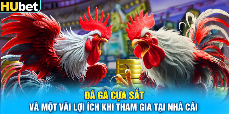 Đá Gà Cựa Sắt và một vài lợi ích khi tham gia tại nhà cái